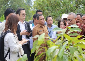 Potensi Kakao Kotamobagu Menarik Investor dari Jepang