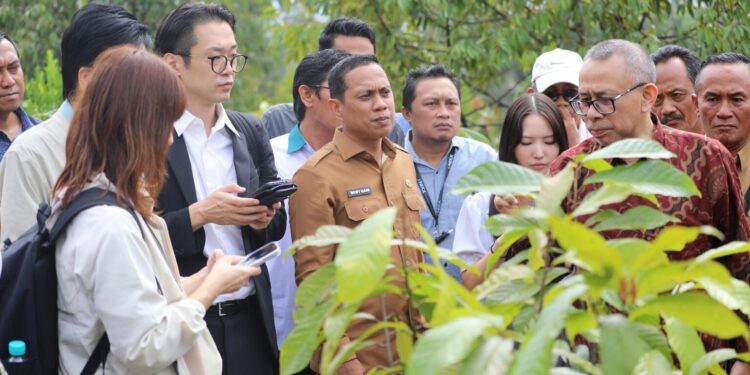 Potensi Kakao Kotamobagu Menarik Investor dari Jepang