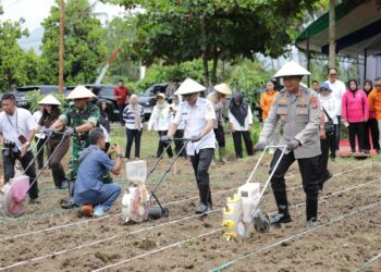 Wali Kota Kotamobagu Mengikuti Penanaman Jagung Serentak Virtual, Dukung Program Pemerintah Pusat