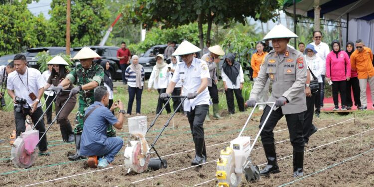 Wali Kota Kotamobagu Mengikuti Penanaman Jagung Serentak Virtual, Dukung Program Pemerintah Pusat