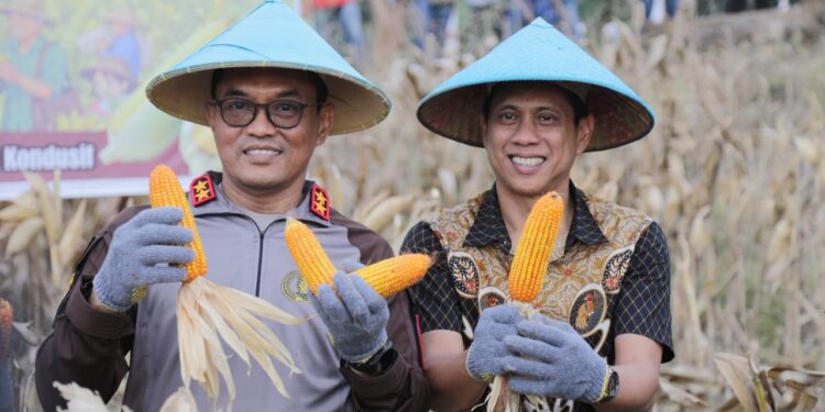 Dukung Swasembada Pangan 2026, Kakorbinmas Polri dan Wali Kota Kotamobagu Panen Raya Jagung di Motoboi Kecil